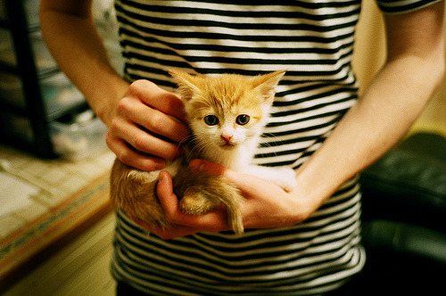 平行宇宙的篮球双重奏，湖人碾压爵士，塔图姆惊艳四座