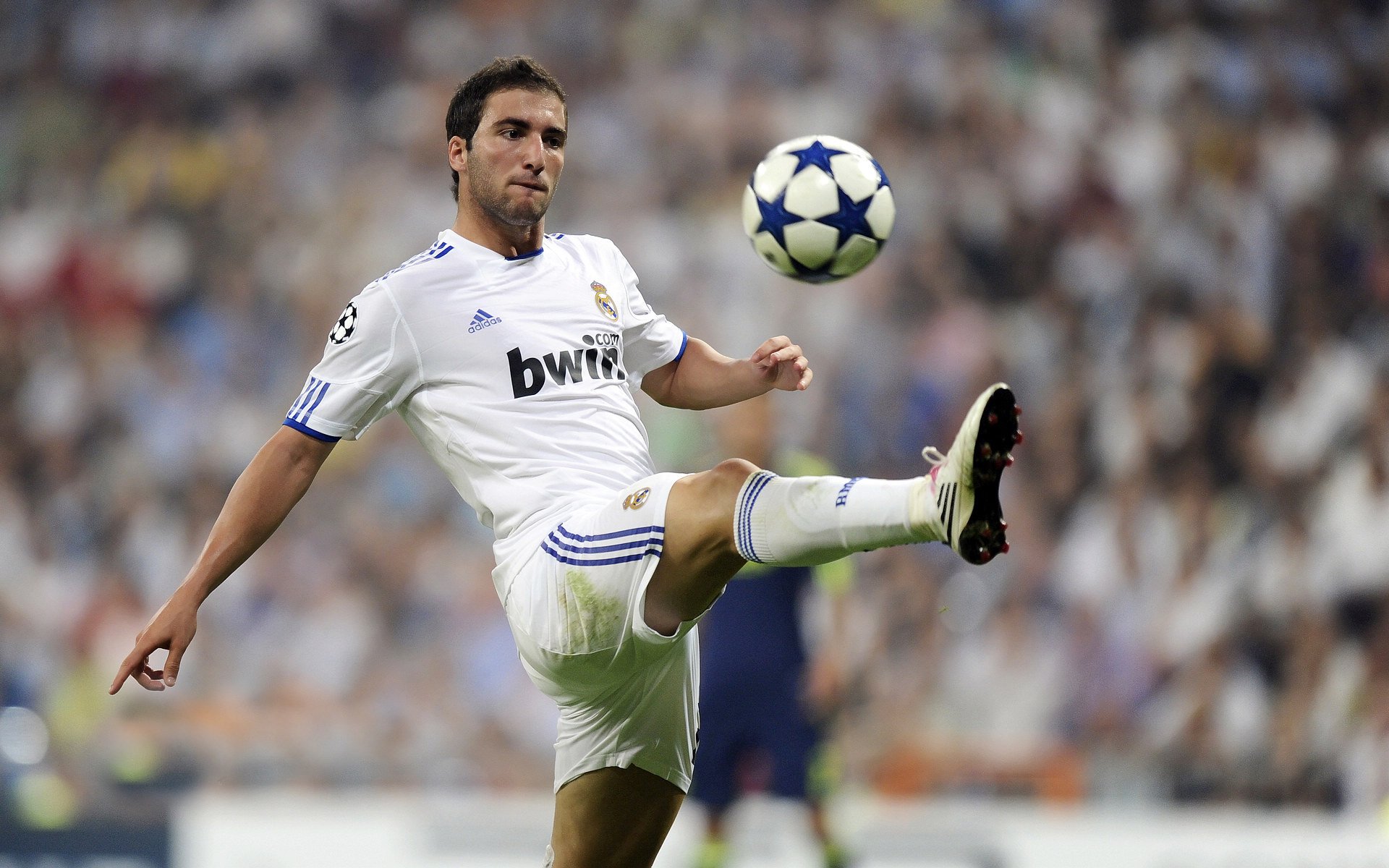 壁垒上崩开的裂纹，印度队横扫韩国队背后，是马琳种下的破局之力