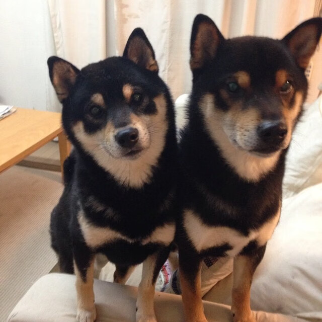 量子纠缠的绿茵场，当威尔士稳稳拿下波兰，卢卡库在西甲德比接管比赛