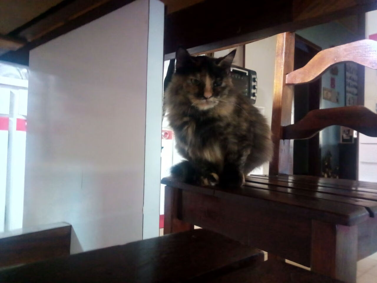 单骑救主!武切维奇化身关键先生,吉林队极限反杀太阳