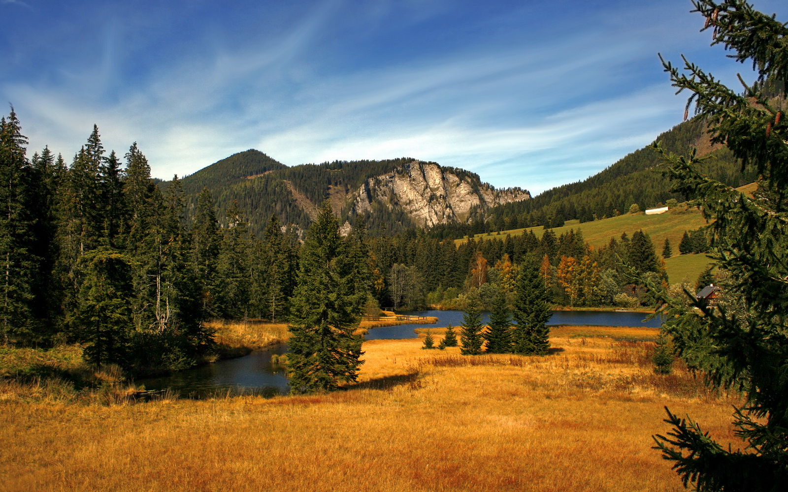 陨落与新王，世界排名争夺战之夜的赖斯风暴