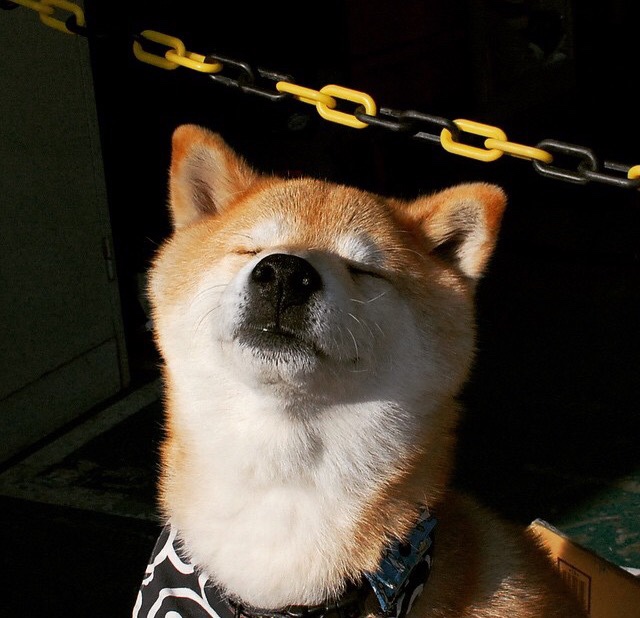 橙蓝之界与红黑之魂，当荷兰遇上米兰的卢卡库密码