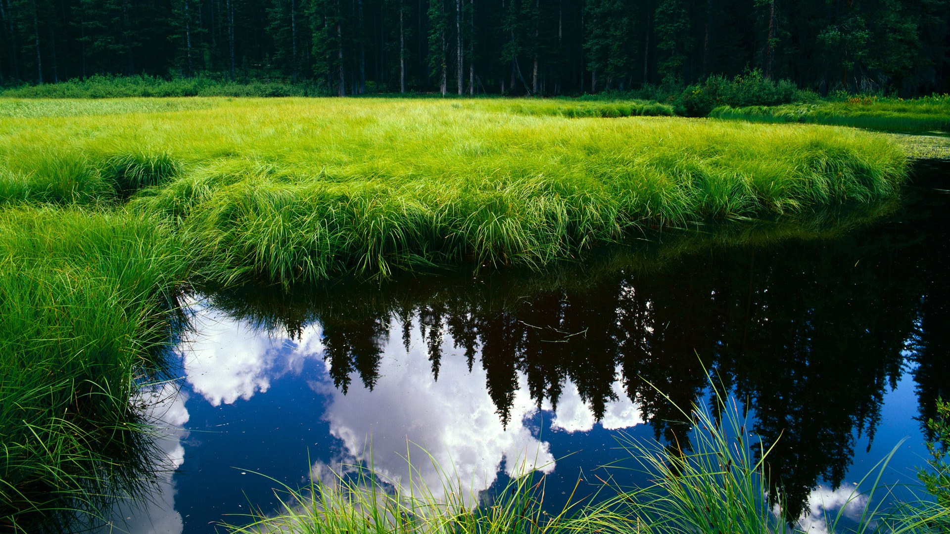 唯一剧本，当拉梅洛在年度焦点之战接管比赛，深圳队已提前为老鹰写下结局