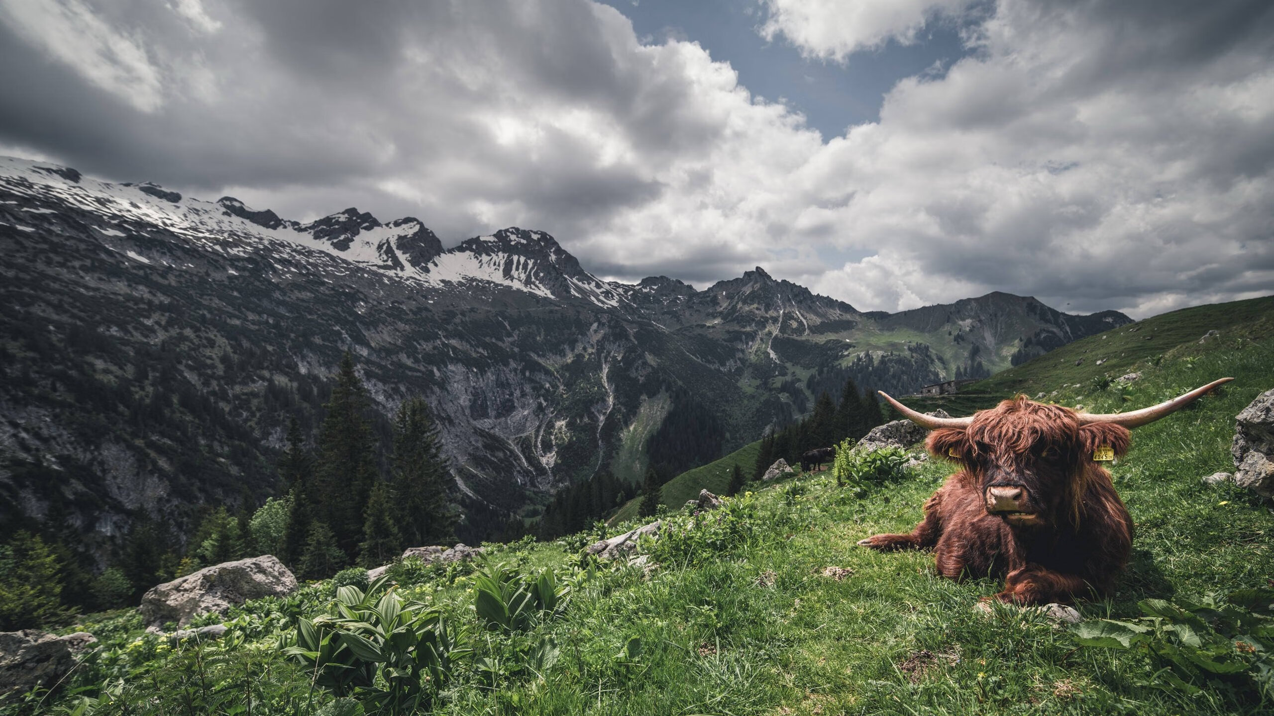 唯一之战，上海队强行终结勇士王朝，文班亚马化身关键先生