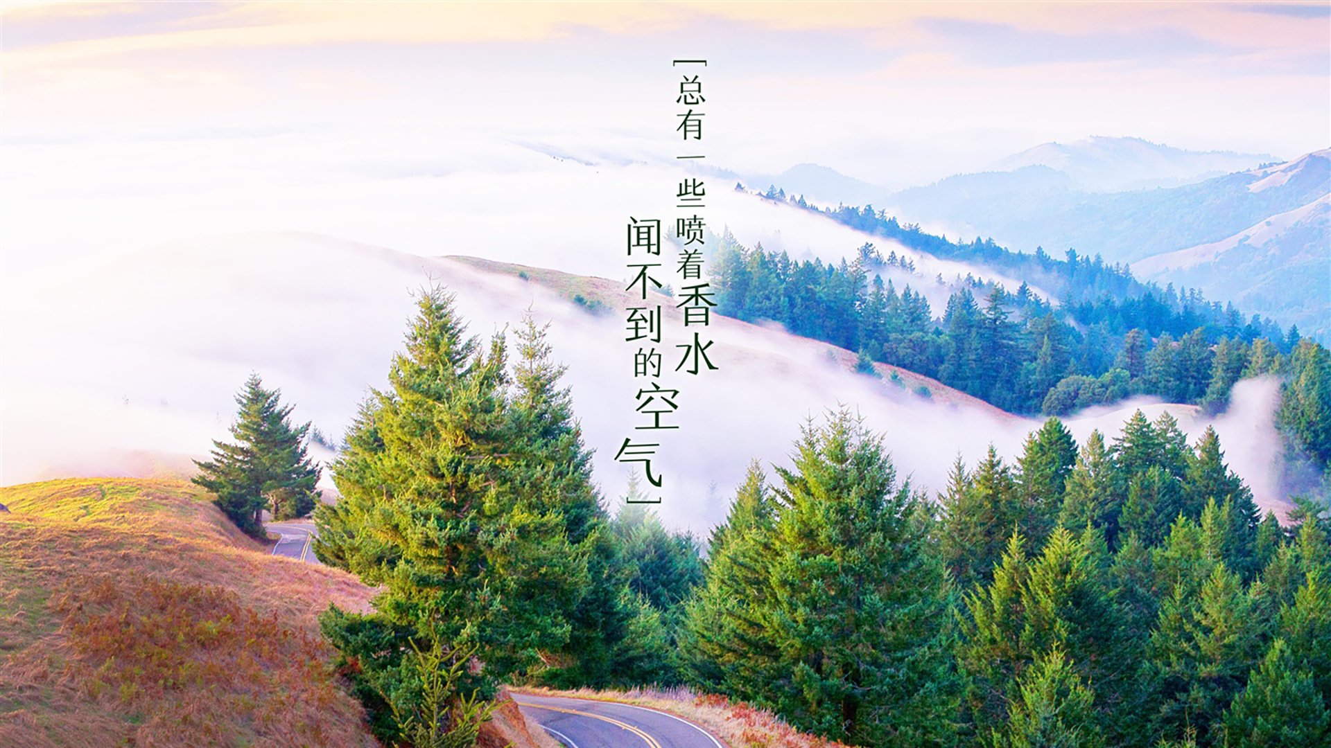 命运九分钟，厄瓜多尔的复仇与齐耶赫的致命一击，如何让2026世界杯B组陷入唯一的疯狂