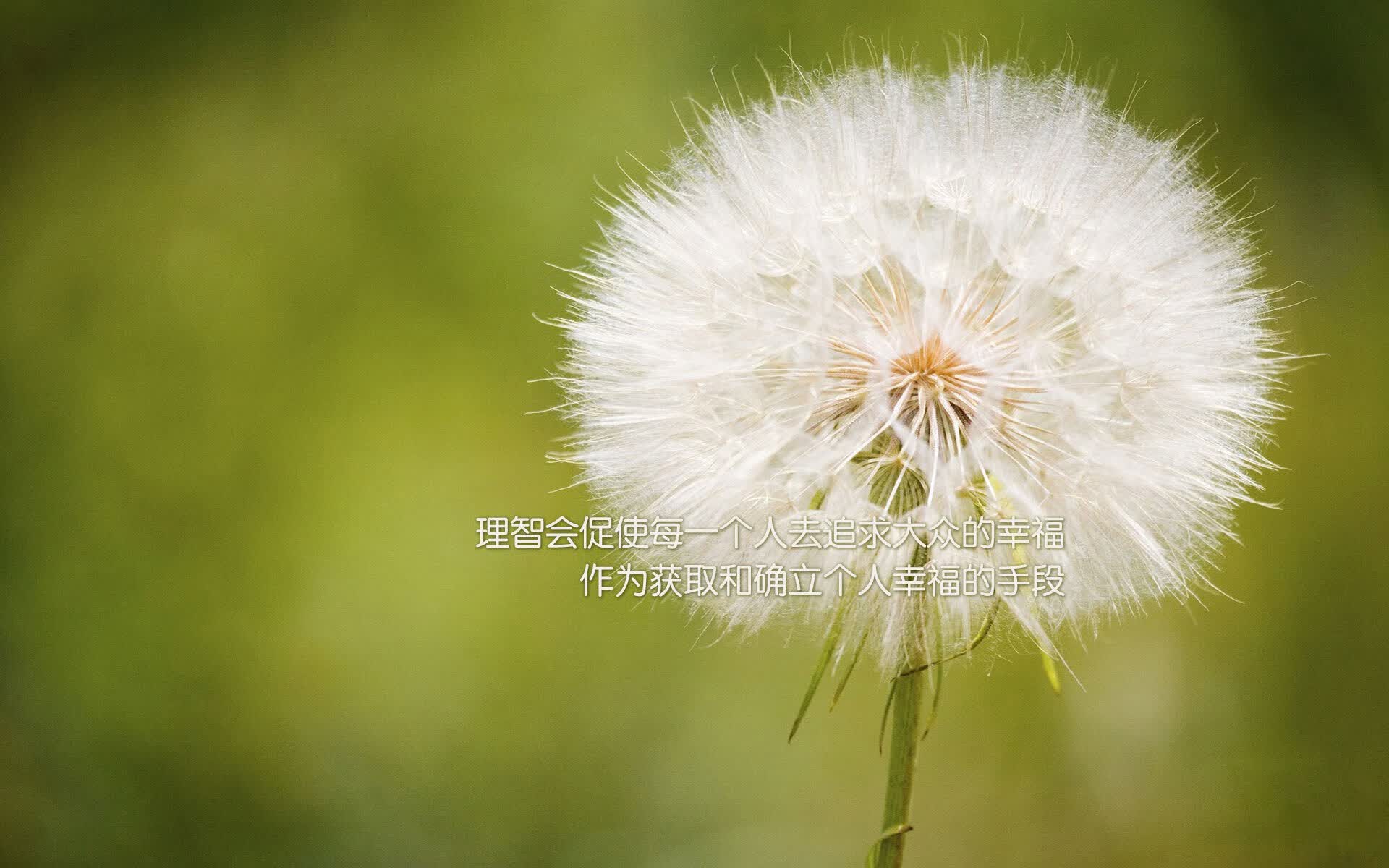 橙衣折戟，红焰燎原，罗马尼亚以战术铁幕与加维灵光掀翻荷兰，铸就D组唯一经典