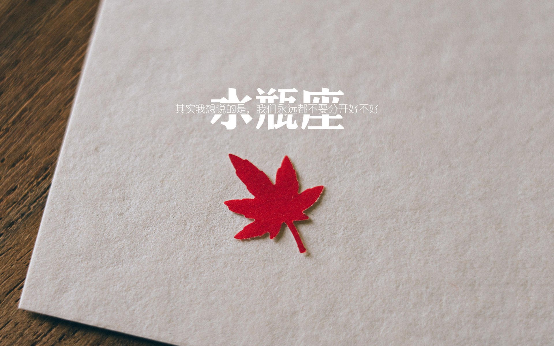 冥冥中的剧本,当英格兰遇见美国,卢卡库为2026世界杯G组写下的血色浪漫